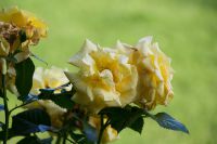 Bodensee_15-17_06_2012-34