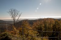 Pfaelzerwald_10_2017-45