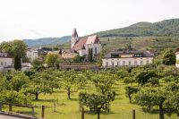 Wachau_05_2019-99