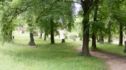 Oder-Neiße_06_2025-91