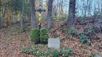 Goldsteigrunde-Pfreimdtal_13_11_2022-3
