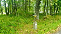 Wuestung_Buegellohe_09_10_2023-29