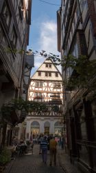 Moselradweg-77