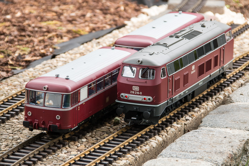 Gartenbahn_23_06_2019-19.jpg