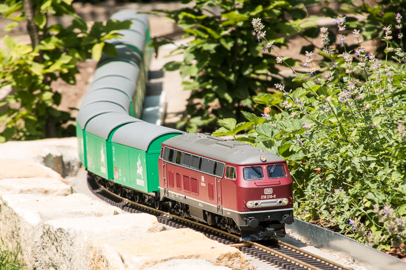 Gartenbahn_23_06_2019-32.jpg