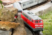 Gartenbahn_23_06_2019-11