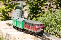 Gartenbahn_23_06_2019-32