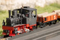 Gartenbahnfest_15_07_2017-103