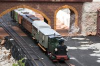 Gartenbahnfest_20_07_2019-39