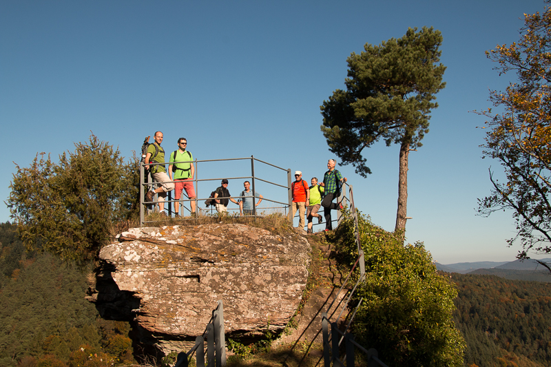 Pfaelzerwald_10_2017-56.JPG