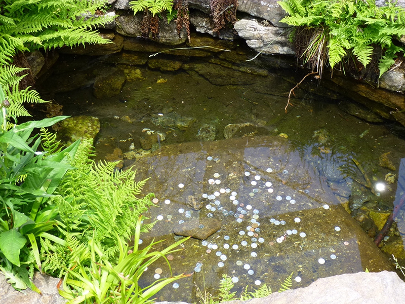 Moldauquelle_2014_065